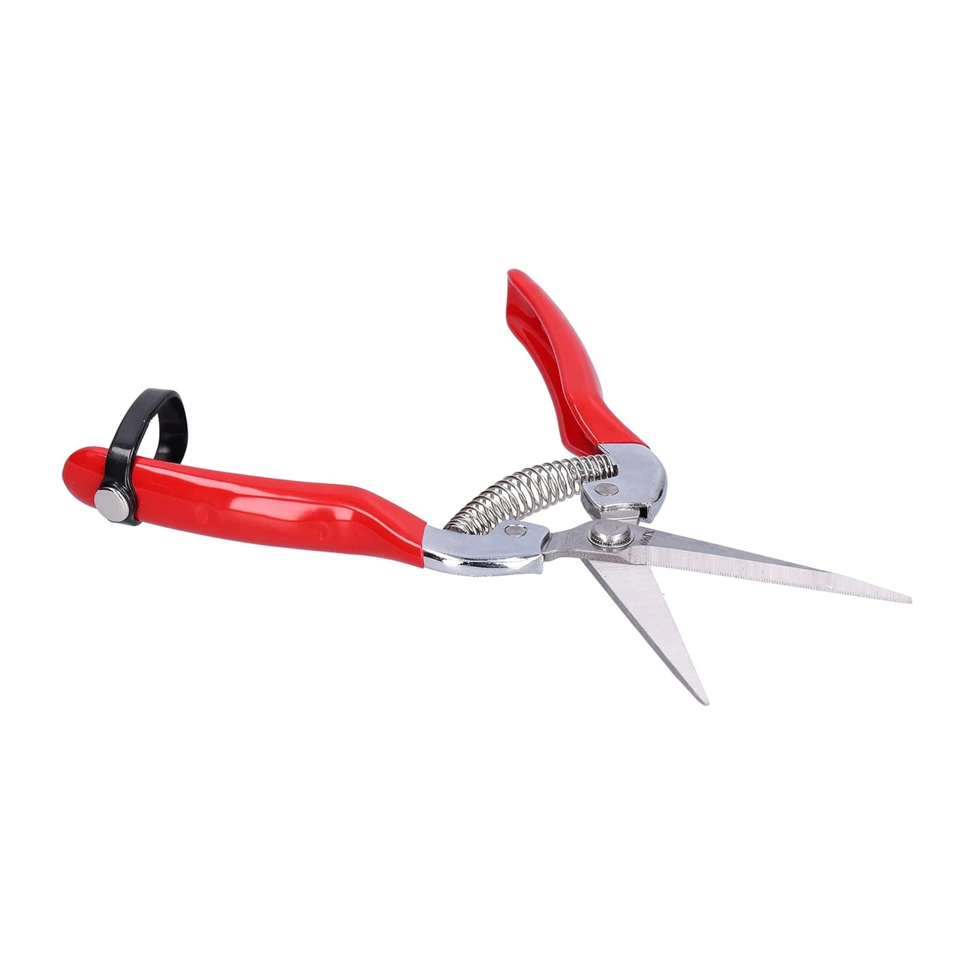 STAINLESS STEEL PRUNING SHEARS | GreenTonez