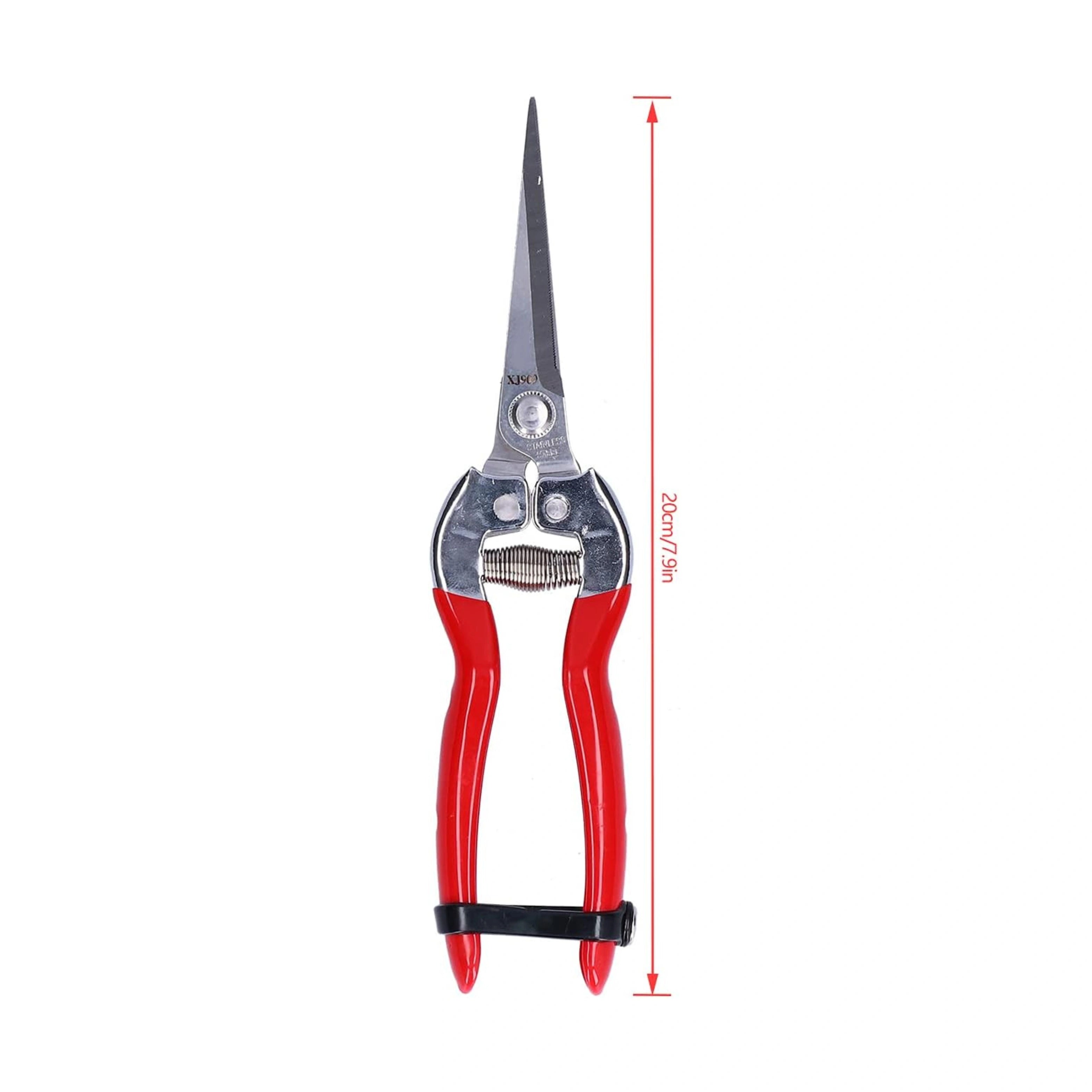 STAINLESS STEEL PRUNING SHEARS | GreenTonez
