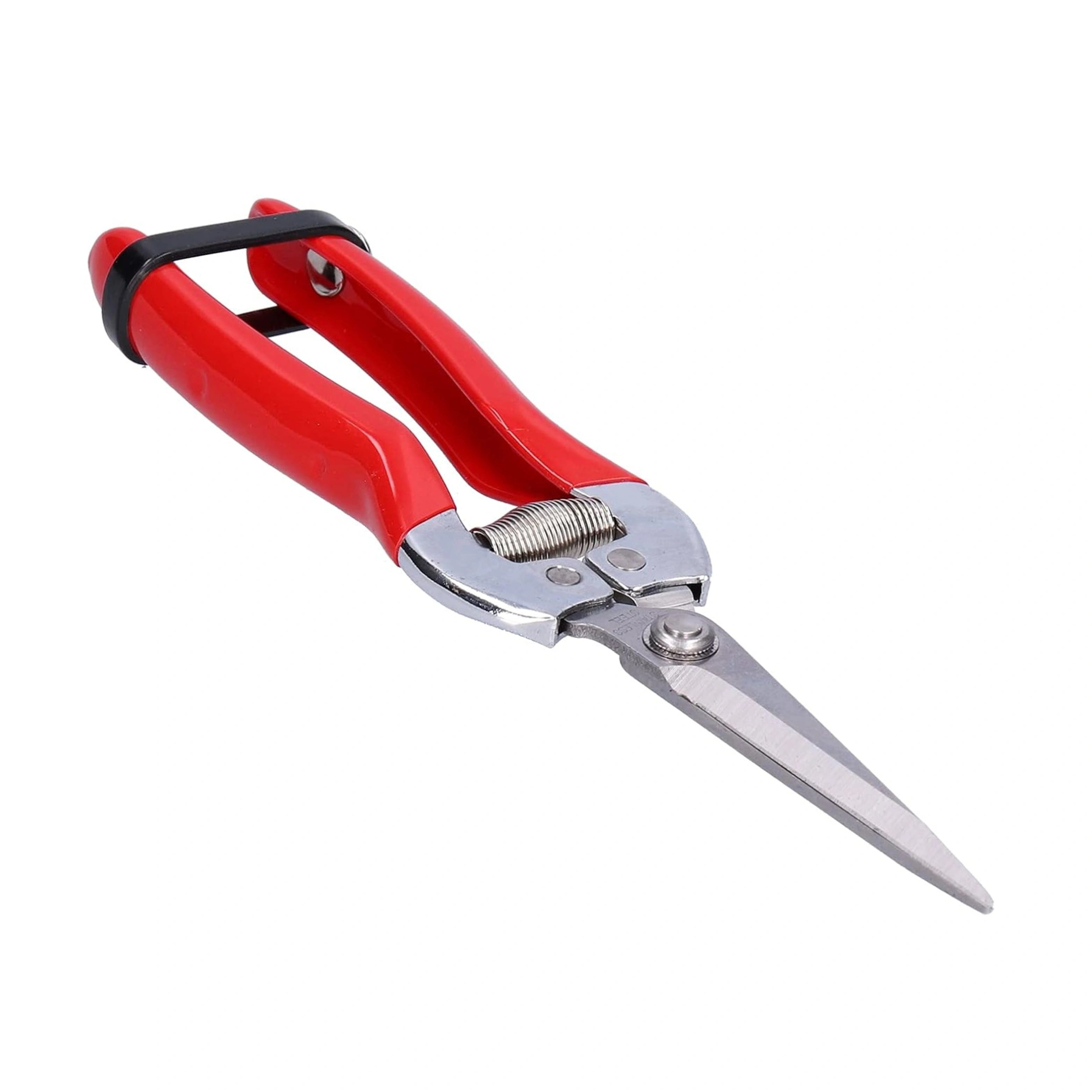 STAINLESS STEEL PRUNING SHEARS | GreenTonez