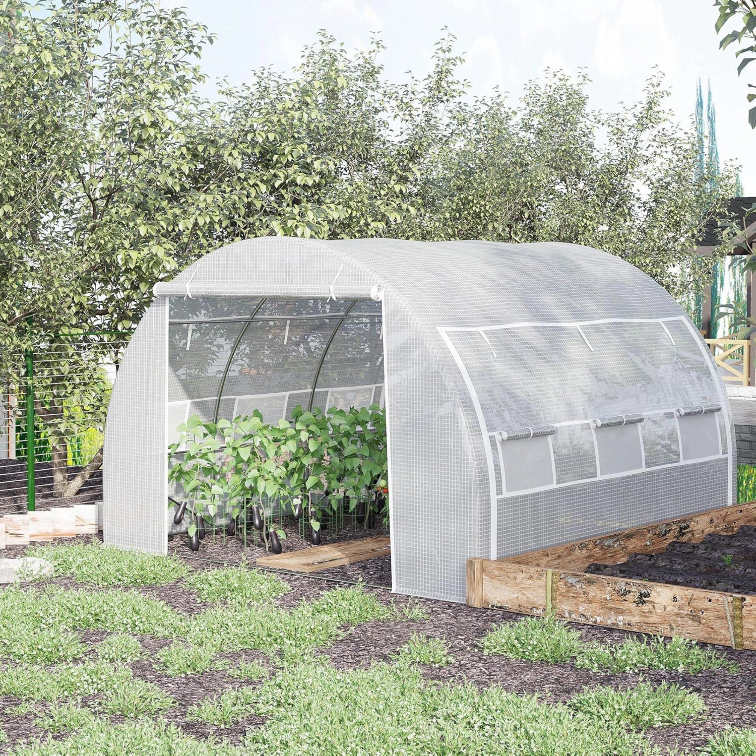 WALK-IN POLYTUNNEL GREENHOUSE 3×3×2M | GreenTonez
