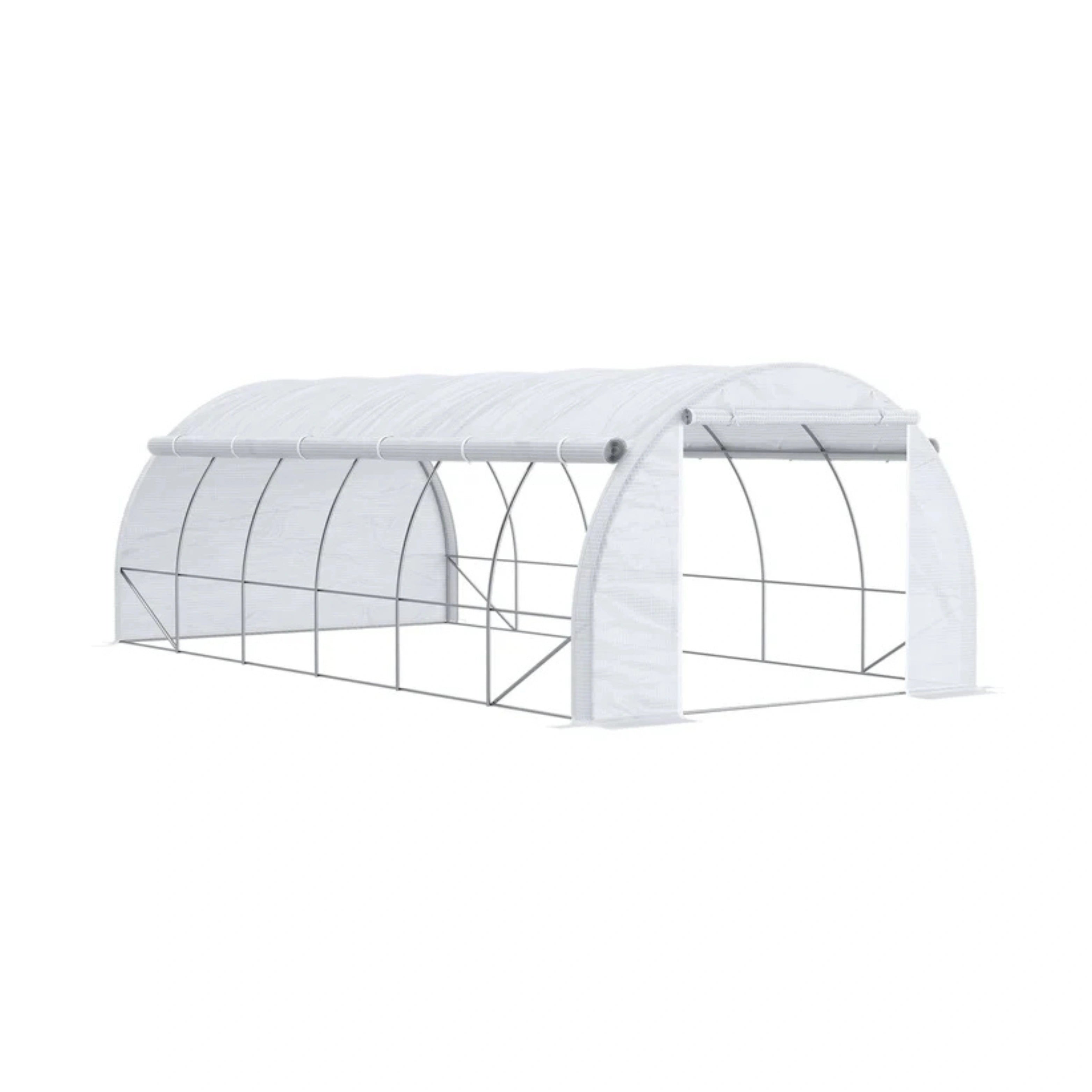 WALK-IN POLYTUNNEL GREENHOUSE 6×3×2M | GreenTonez